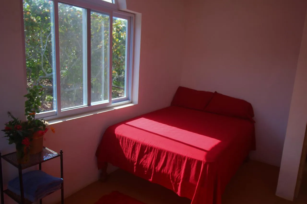 Vila Cottage On The Ocean Robins Bay Jamajka